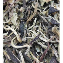 Té Blanco Pai Mu Tan Extra...