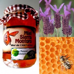 Miel de Cantueso (Lavanda)