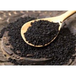 COMINO NEGRO (NIGUELA SATIVA)