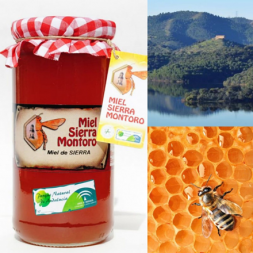 Miel de la sierra (mil flores)