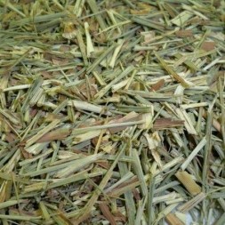 LEMON GRASS