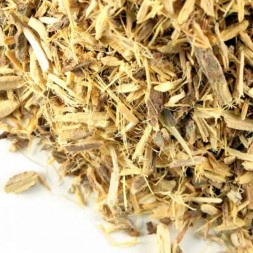 REGALIZ RAIZ CORTADA