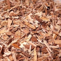 SAUCE CORTEZA CORTADA