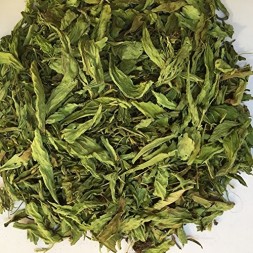 STEVIA