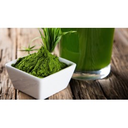 SPIRULINA POLVO