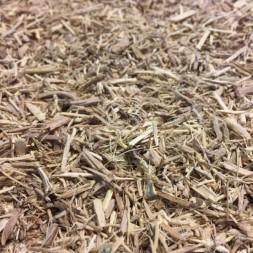 ELEUTEROCOCO RAIZ CORTADA...