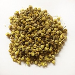 MANZANILLA MAHON (AMARGA)