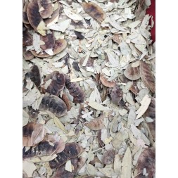 MEZCLA DE HIERBAS Nº 16...