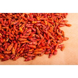 CAYENA OJO DE PÁJARO