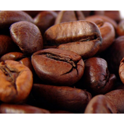 Café Chocolate Menta