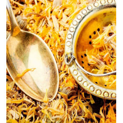 CALENDULA FLOR ENTERA